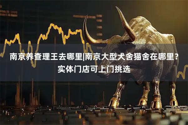 南京养查理王去哪里|南京大型犬舍猫舍在哪里？实体门店可上门挑选