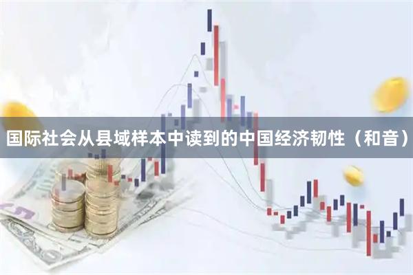 国际社会从县域样本中读到的中国经济韧性（和音）